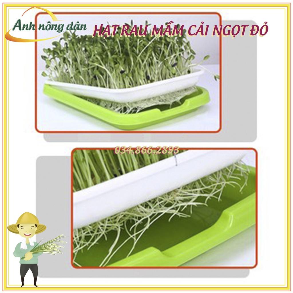 Gói 50g Hạt rau mầm rau cải ngọt đỏ - Hạt rau chất lượng cao, nảy mầm tốt