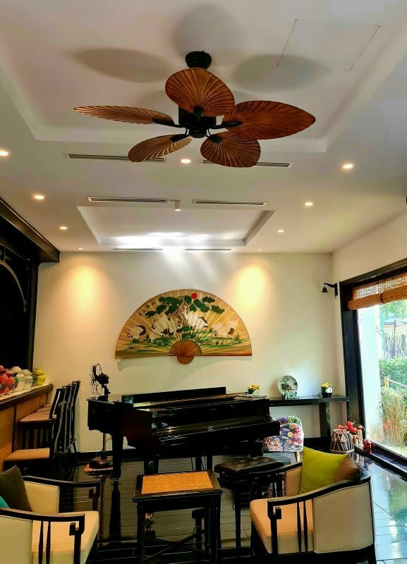 Quạt trần trang trí điều khiển từ xa QAT009 - Cánh hình lá độc đáo có tính thẩm mĩ cao