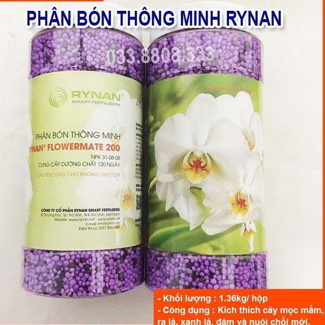Phân Thông Minh 31-8-8 chuyên dùng kích thích cây nảy mầm, dâm chồi cho hoa lan cây cảnh