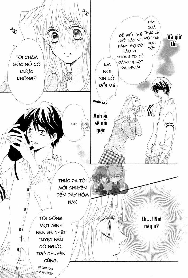 koi ni naranai wake ga nai chapter 1 36