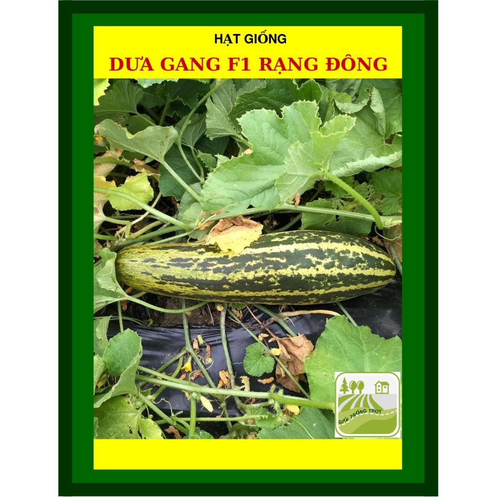 Hạt Giống Dưa Gang Ăn Mát 1 Gram