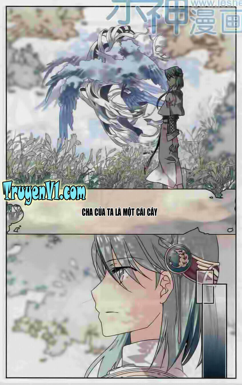 quỹ đạo của các vì sao chính là những con đường của bầu trời chapter 2 8