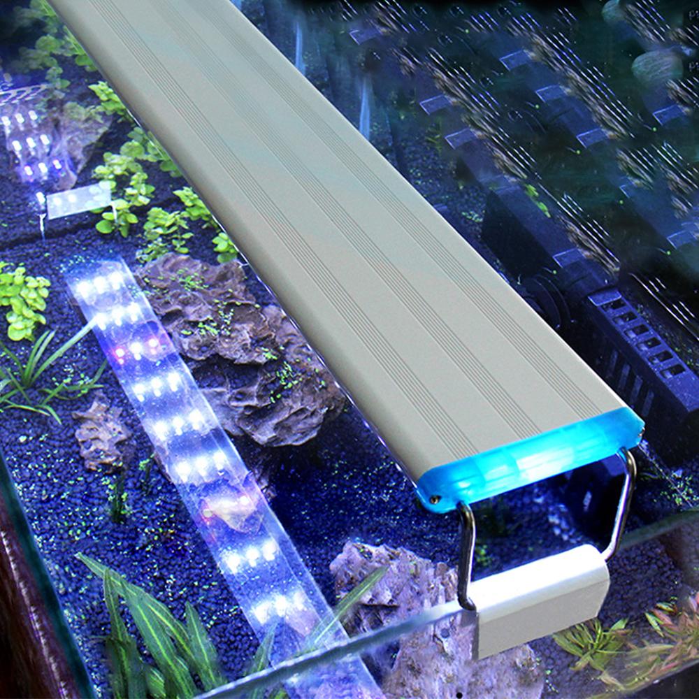 Thanh Đèn LED màu xanh trắng cho bể cá thủy sinh