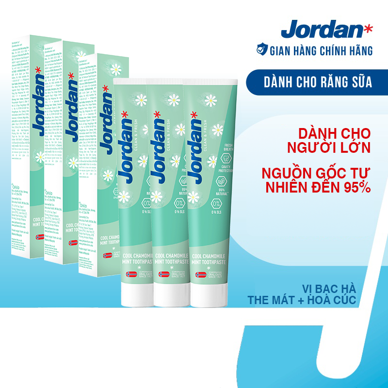 Combo 3 Kem đánh răng cho ngưởi lớn vị bạc hà hoa cúc Jordan Clean &amp; Fresh Cool - 75g