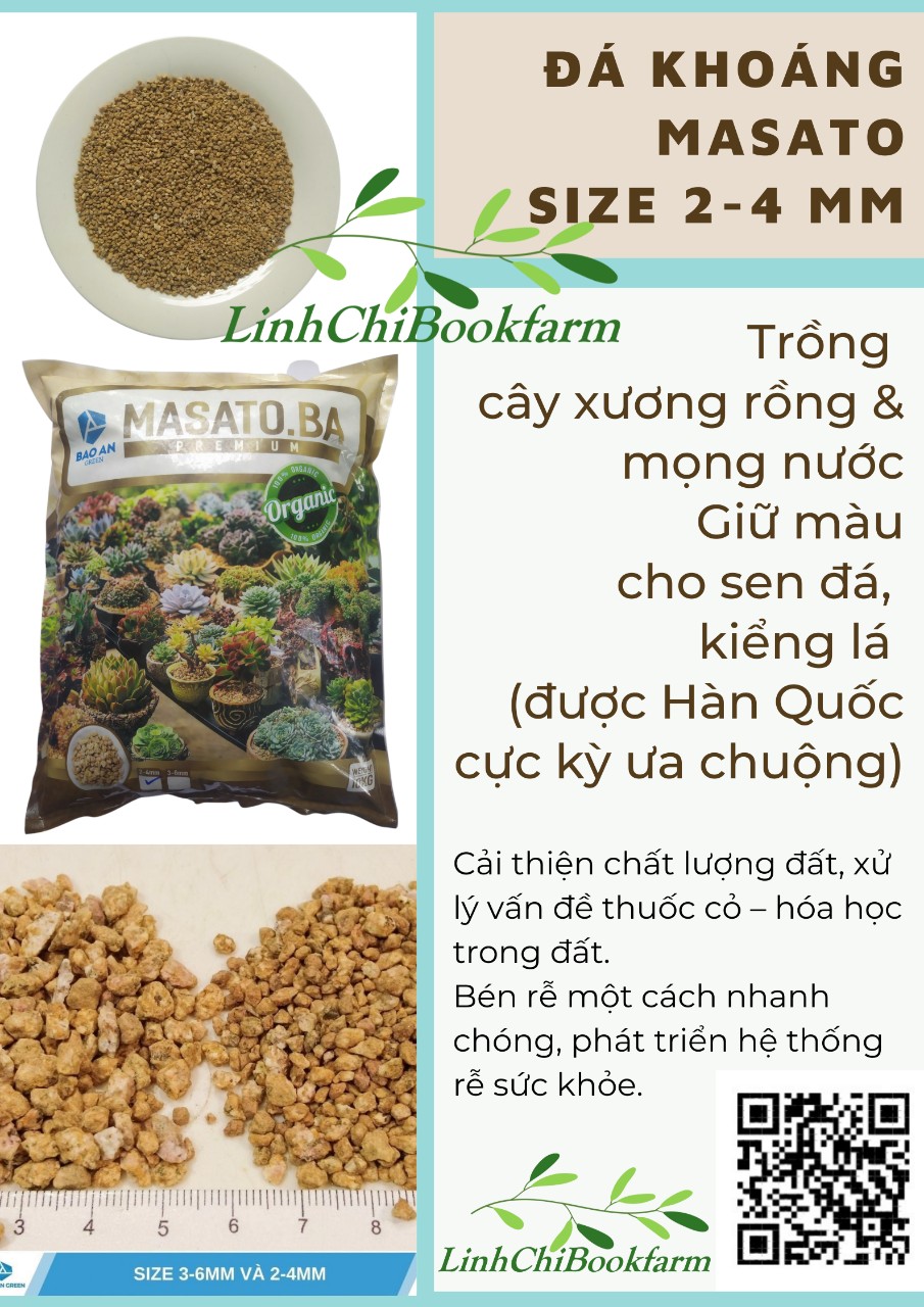 Đá Masato size 2-4mm - dùng rải mặt chậu giữ màu sen đá, xương rồng
