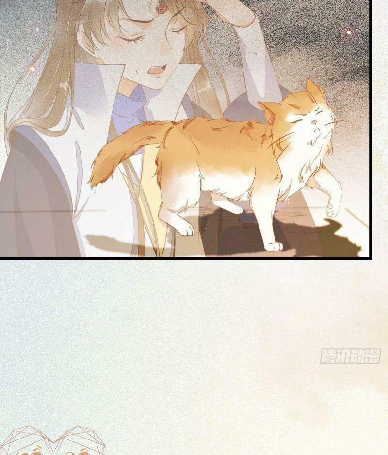 sát thủ vương phi không dễ chọc chapter 37 6