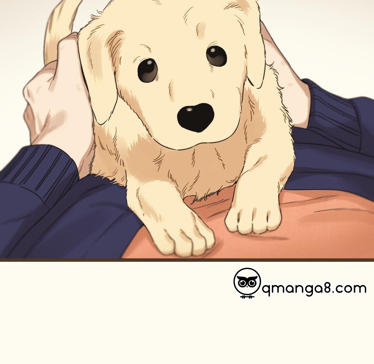 tương phùng chapter 38 13