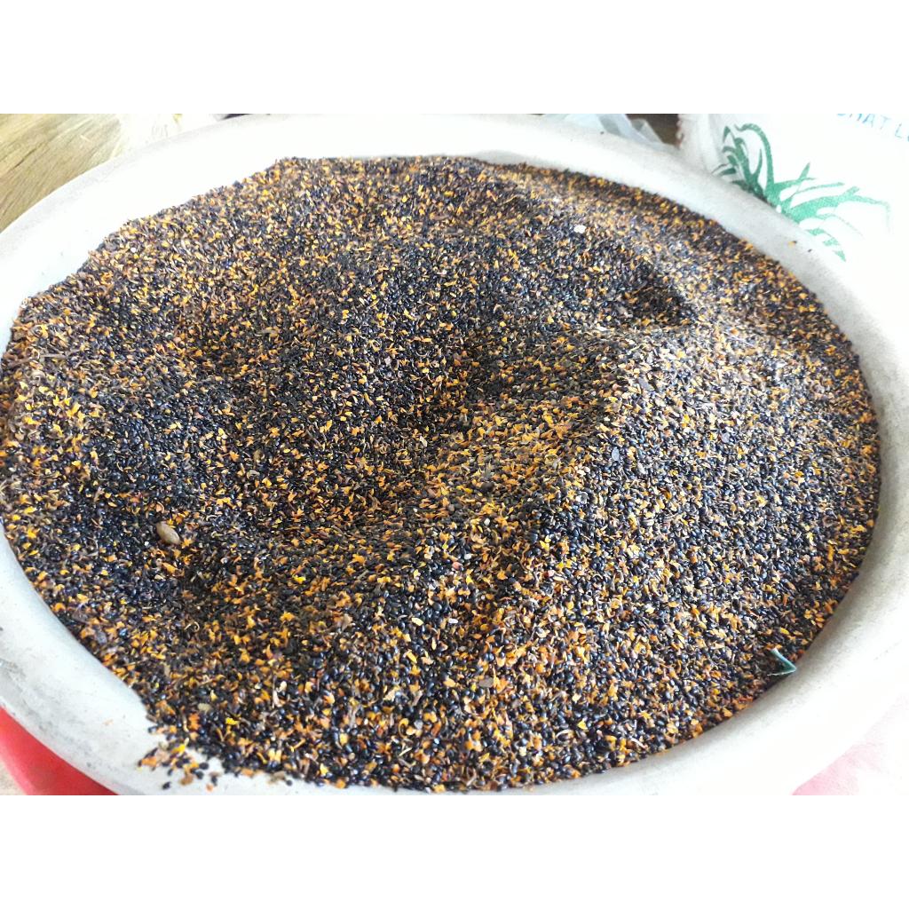 500 gram HẠT GIỐNG Keo Tai Tượng ÚC
