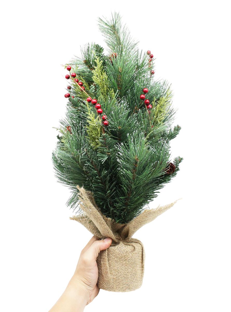 Cây Thông Mini 3 Loại Lá 60cm - Chaang Chiia LP-SA-60CM