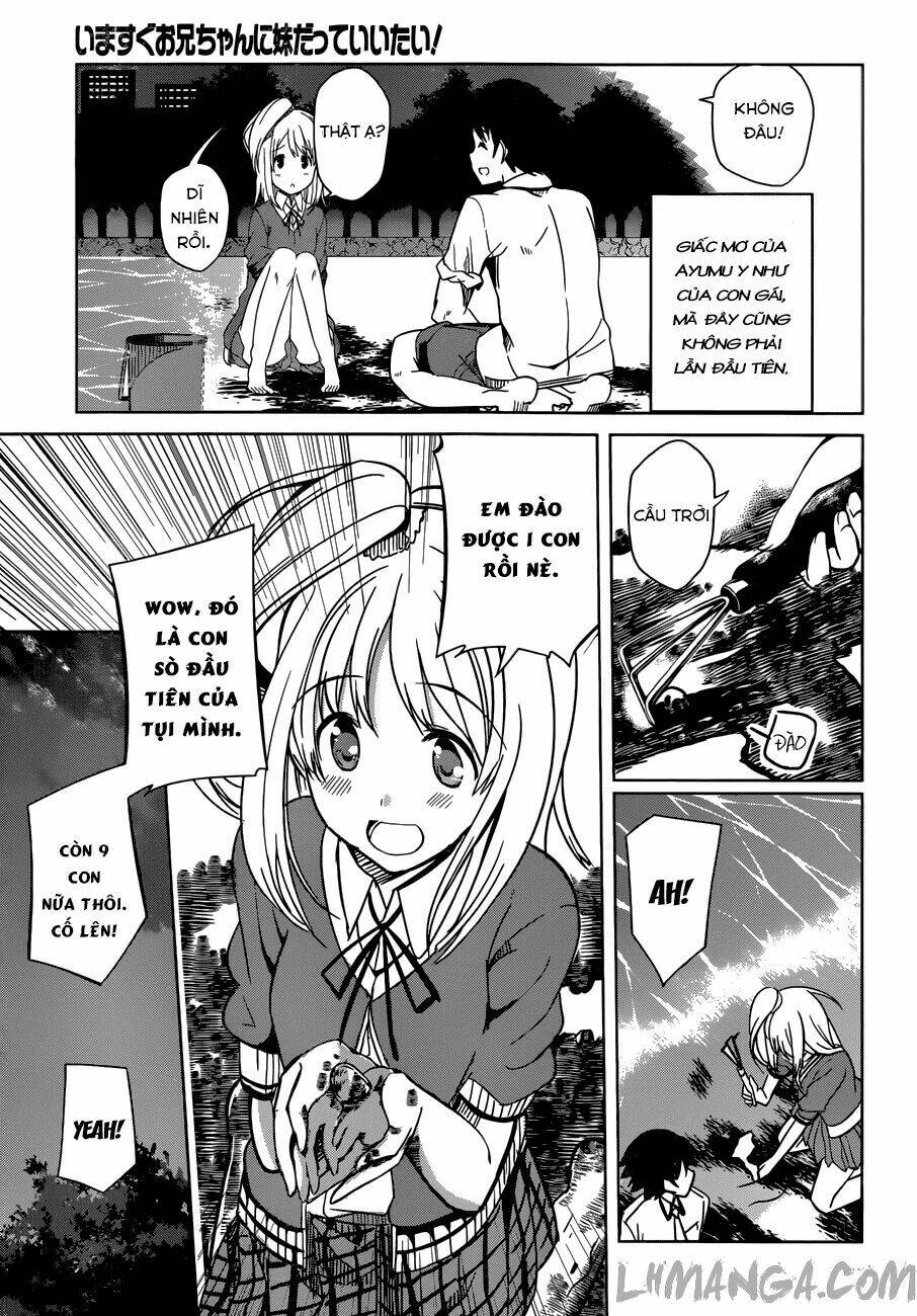 imasugu oniichan ni imouto datte iitai chapter 9 14