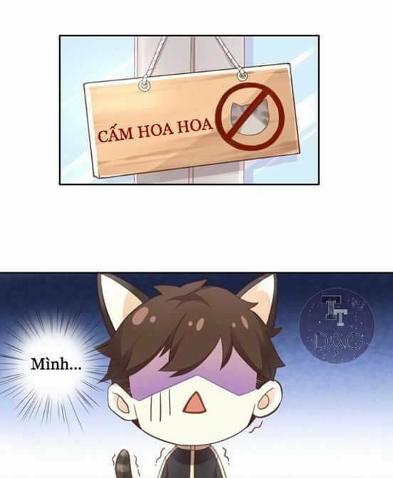 dưới móng vuốt mèo chapter 2 42