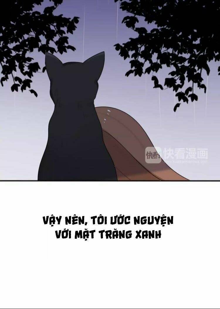 tiểu miêu và hắc diệu thạch chapter 27 16