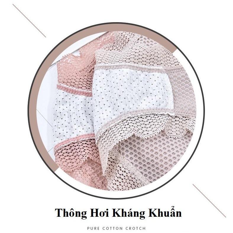 Quần lót nữ, quần lót ren lưới Anee sexy thoáng mát mùa hè Q/R084