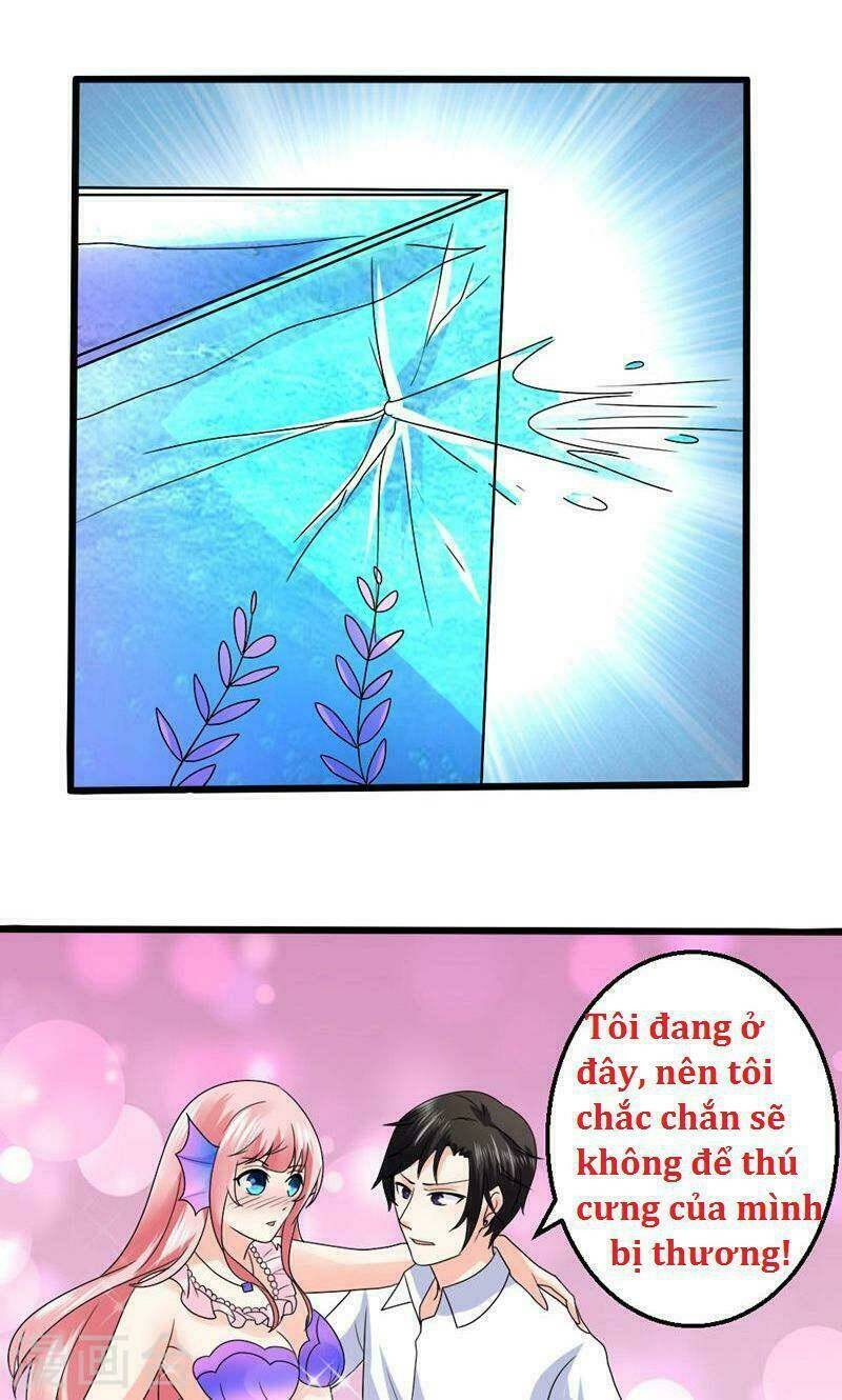 sủng vật người cá của tổng tài chapter 4 6