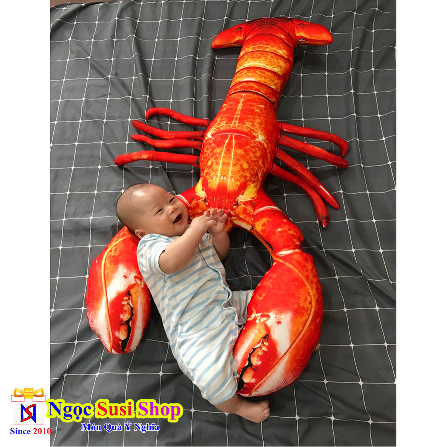 THÚ BÔNG TÔM HÙM KHỔNG LỒ
