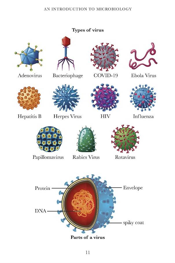 Penguin Readers Level 6: Viruses And Pandemics