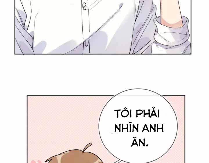 Minh Nhật Tinh Trình Chapter 17 - Next Chapter 18