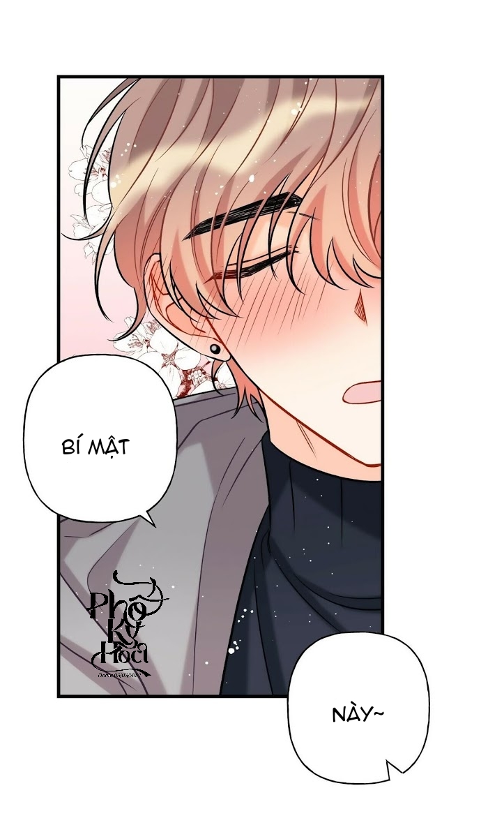 dưới ánh hào quang chapter 4 17