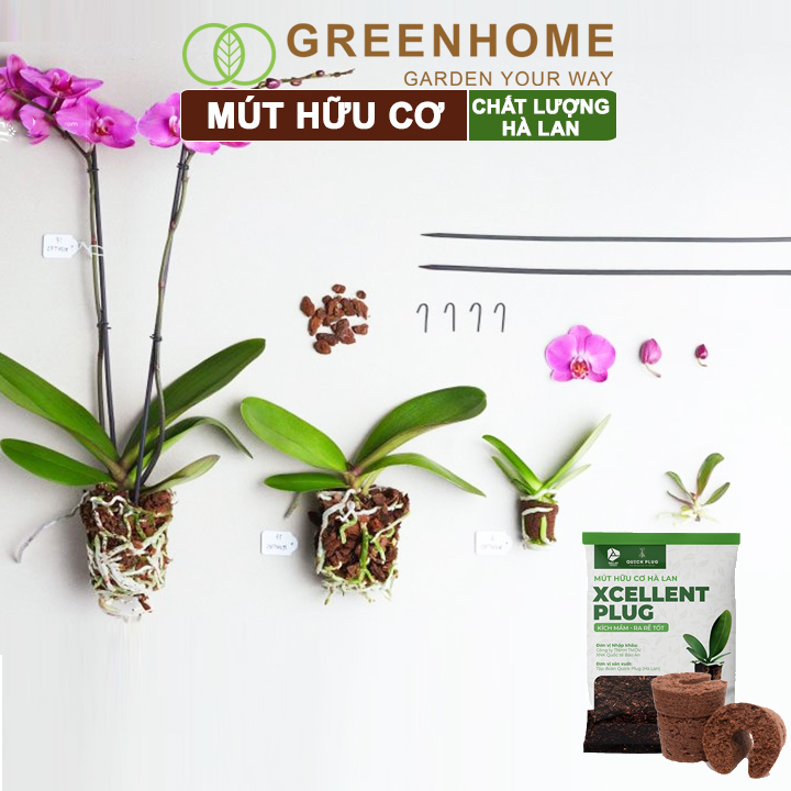 Mút ươm kie Hà Lan, 6x6x4cm, hữu cơ, kích rễ, ươm hạt, chiết cành, trồng thuỷ canh |Greenhome