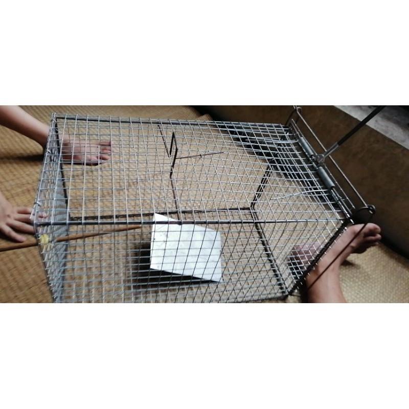 lồng bẫy mèo , sóc, chuột , dúi