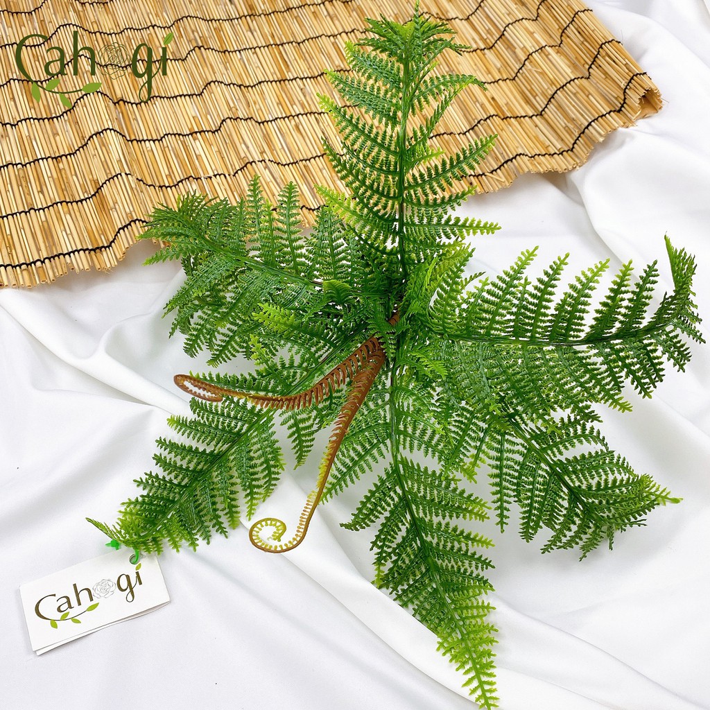 Cây dương xỉ giả giống thật 99% – Đường kính 40 đến 50 cm – Cây dương sỉ giả, hoa lụa decor trang trí rẻ, bền, đẹp.