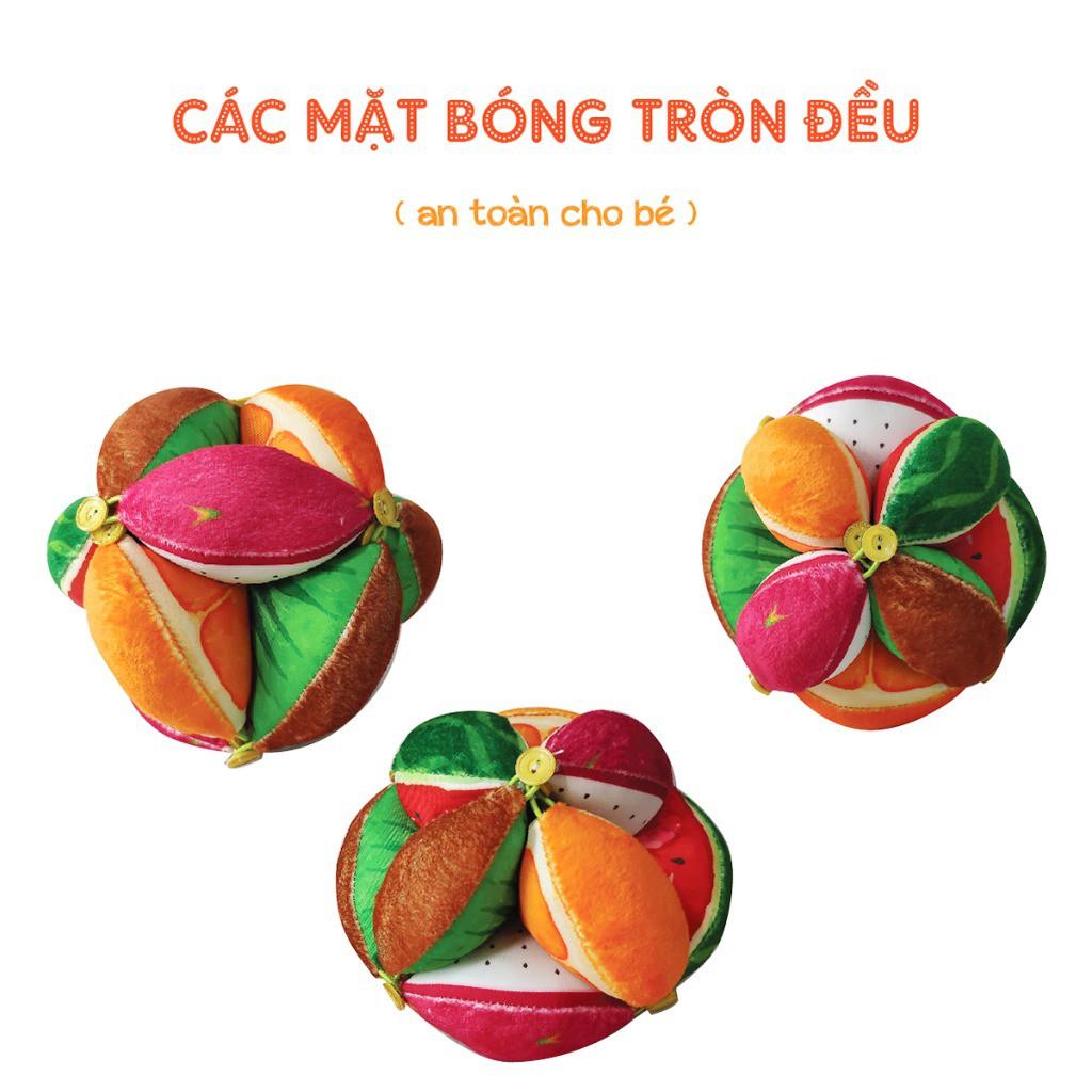 Bóng múi luyện chân PiPô Việt Nam - Montessori Fruits