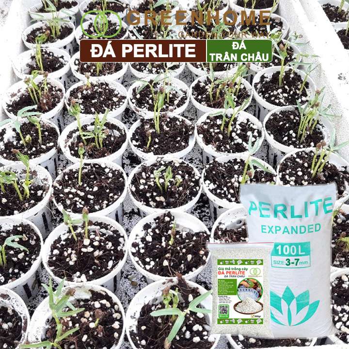 Đá Perlite Greenhome, Bao 100Lít (8-10kg), Trồng Hồng, Thuỷ Canh, Trân Châu Giàu Khoáng Chất, Tăng Độ Tơi Xốp