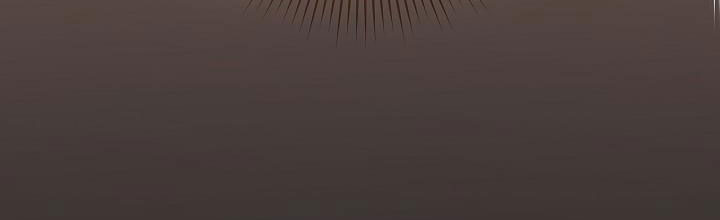 phía sau em, luôn có ta bên cạnh chapter 36.1 255