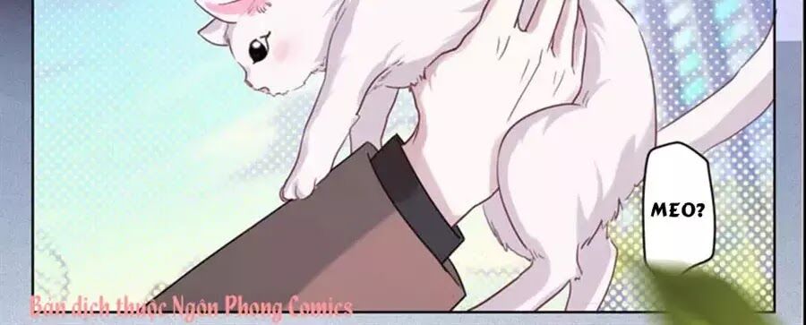 thần luân mật luyến chapter 34 19