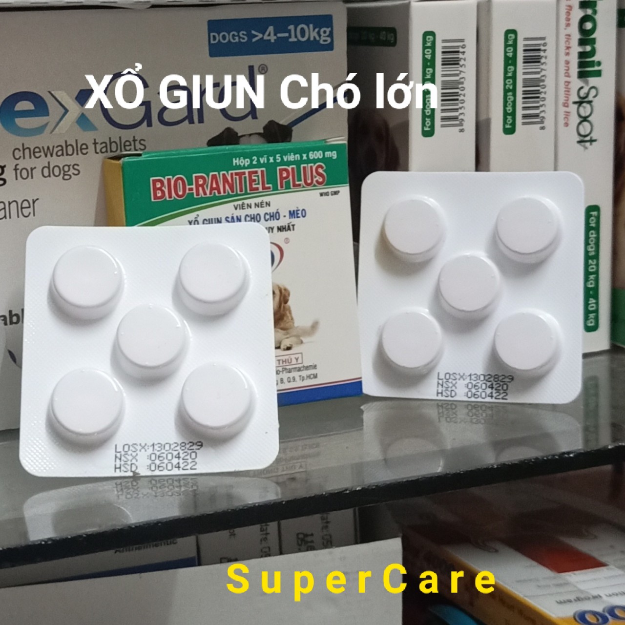 Xổ Giun Bio Rantel Plus cho Chó Lớn
