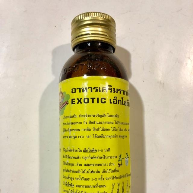 SIÊU KÍCH RỄ EXOTIC THÁI LAN