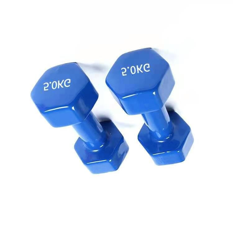 Tạ tay 0.5kg tập gym yoga pilates Thể Dục tại nhà cho nam nữ - Hàng chính hãng dododios