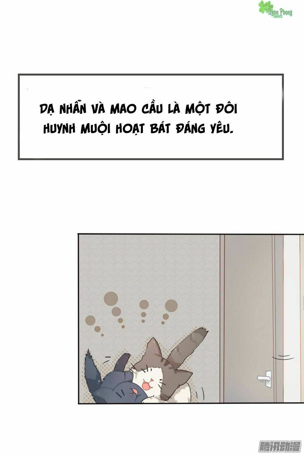 hai chú mèo totem chapter 0 2