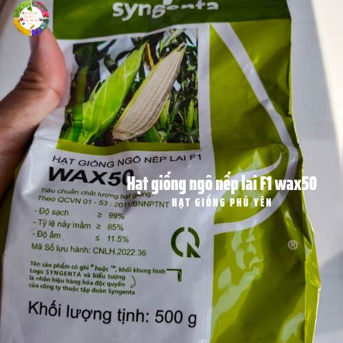 Hạt giống ngô nếp lai F1 Wax50 sygenta gói 500 gram
