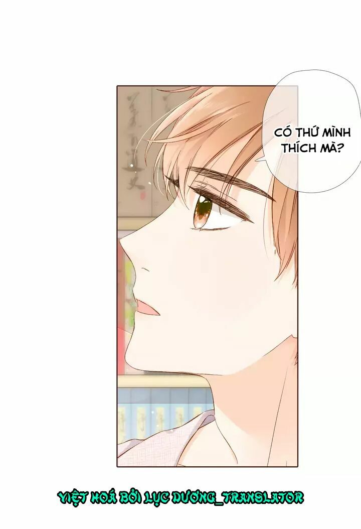 Tình yêu là màu hoa anh thảo chapter 32.2 28