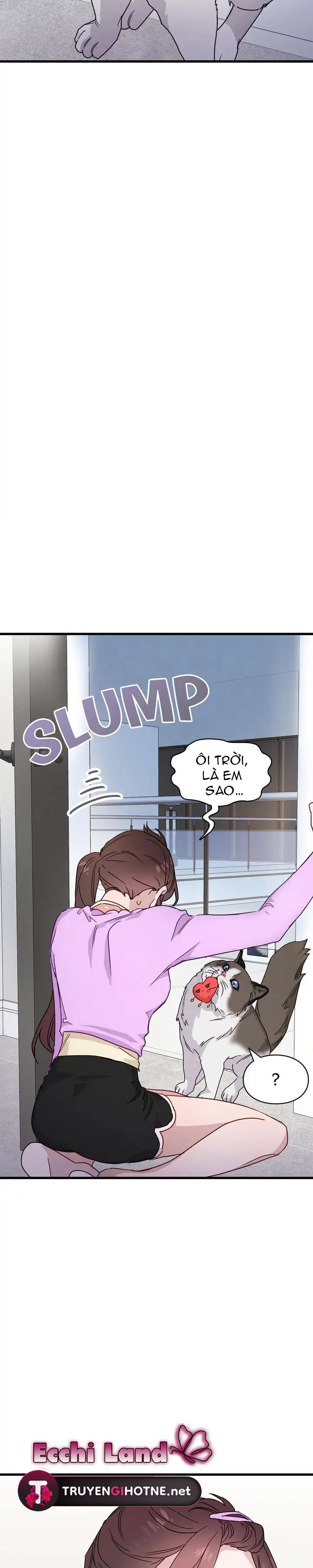 nụ hôn lúc bình minh ở tiffany chapter 25.1 12