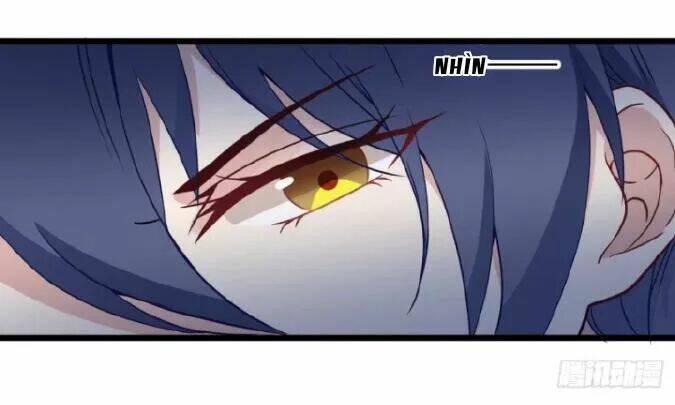 ảnh đế thần bí trộm cưới: vợ yêu, tới pk chapter 16 2