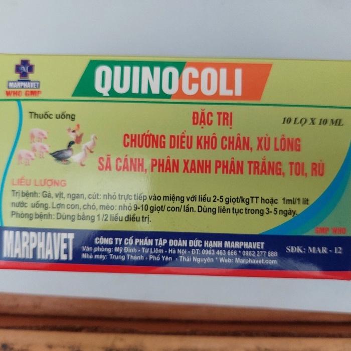 Quinocoli lọ 10ml Marphavet. Chướng diều, khô chân, xù lông, phân xanh phân trắng, toi, rù