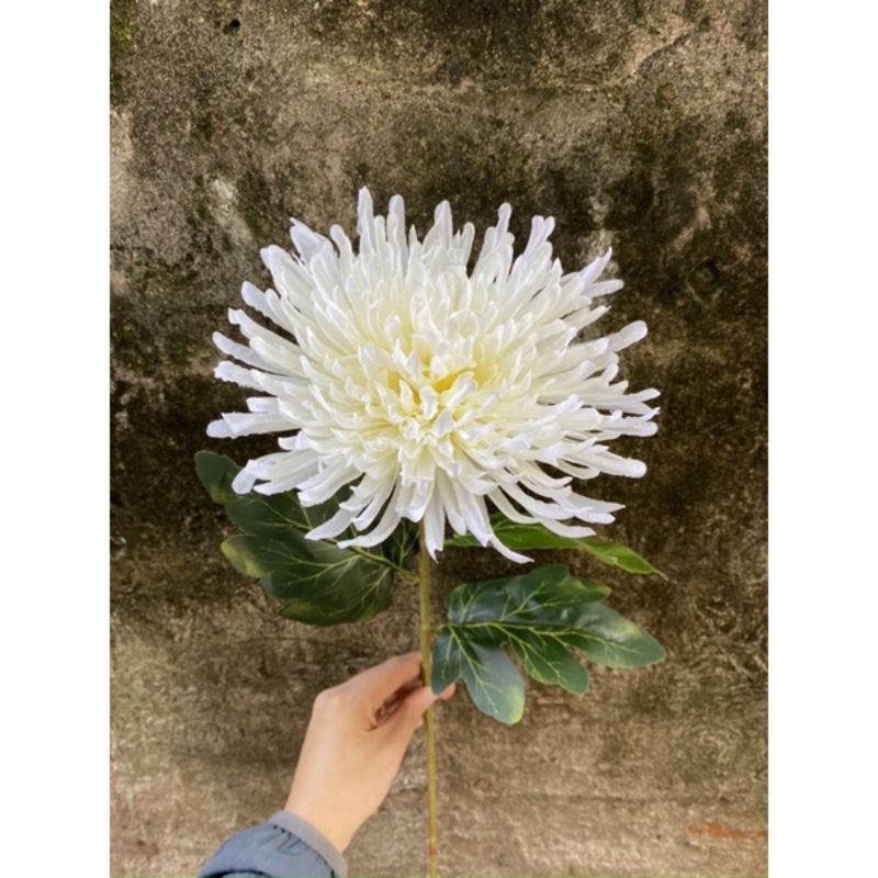 Hoa Cúc Kim Dài 75cm, Hoa Giả HL037