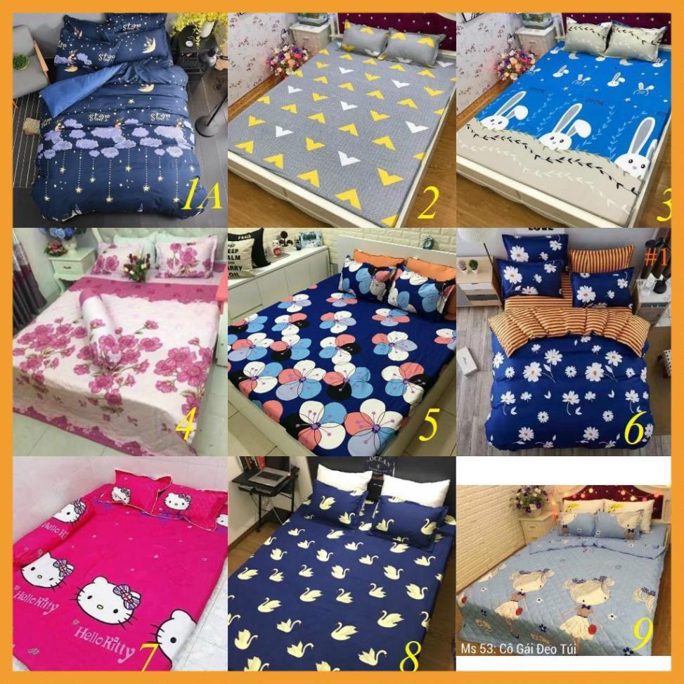 Bộ ga gối poly cotton gấu vàng