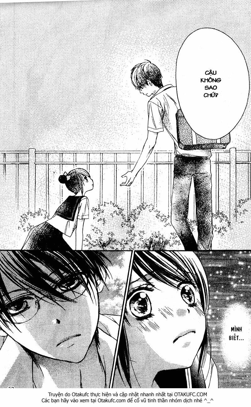 hachimitsu ni hatsukoi chapter 29 31