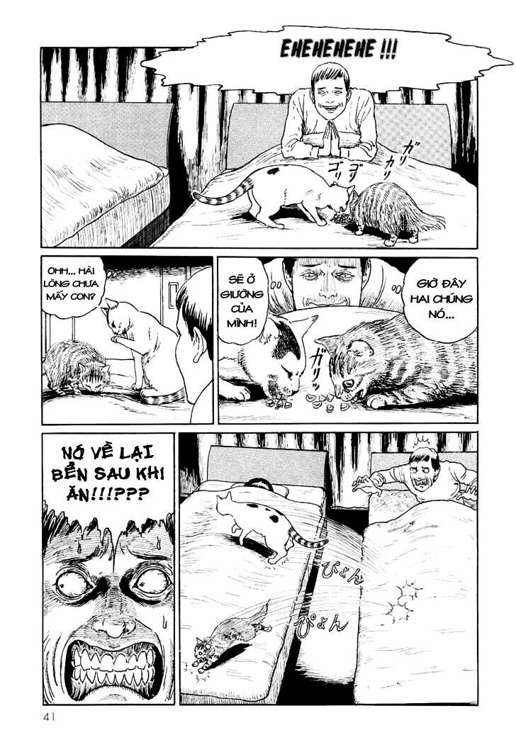 ito junji cat's diary chapter 4 7