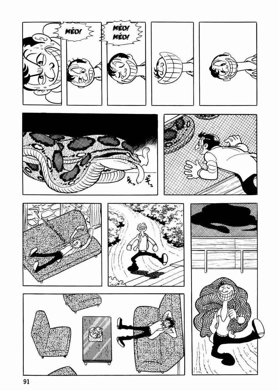 the crater chapter 3 26