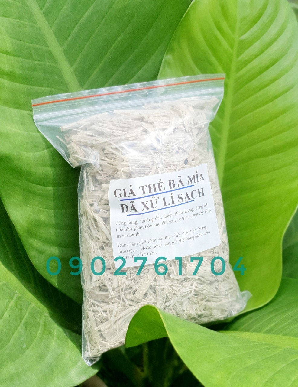 250gr bã mía đã được làm sạch siêu tốt trồng cây thân thiện môi trường