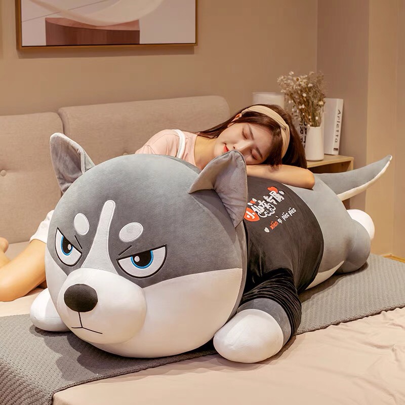 Gấu bông  chó Husky gối ôm ngủ cho người lớn size 120cm mềm mịn đáng yêu