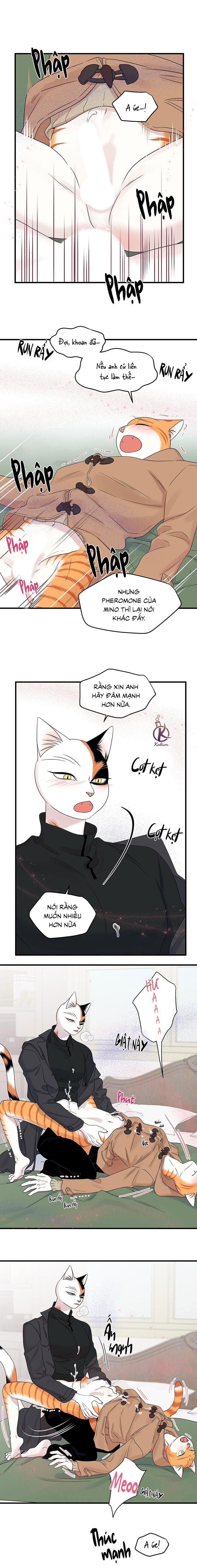 dự án xanh chapter 55 10