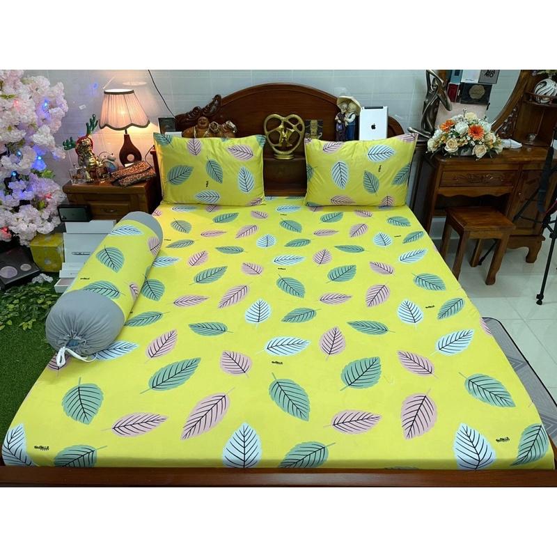 Drap thun hàn quốc