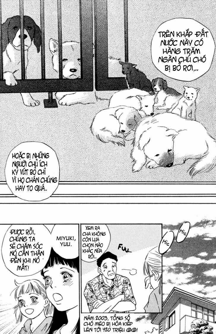 deep love - pao no monogatari chapter 1 10