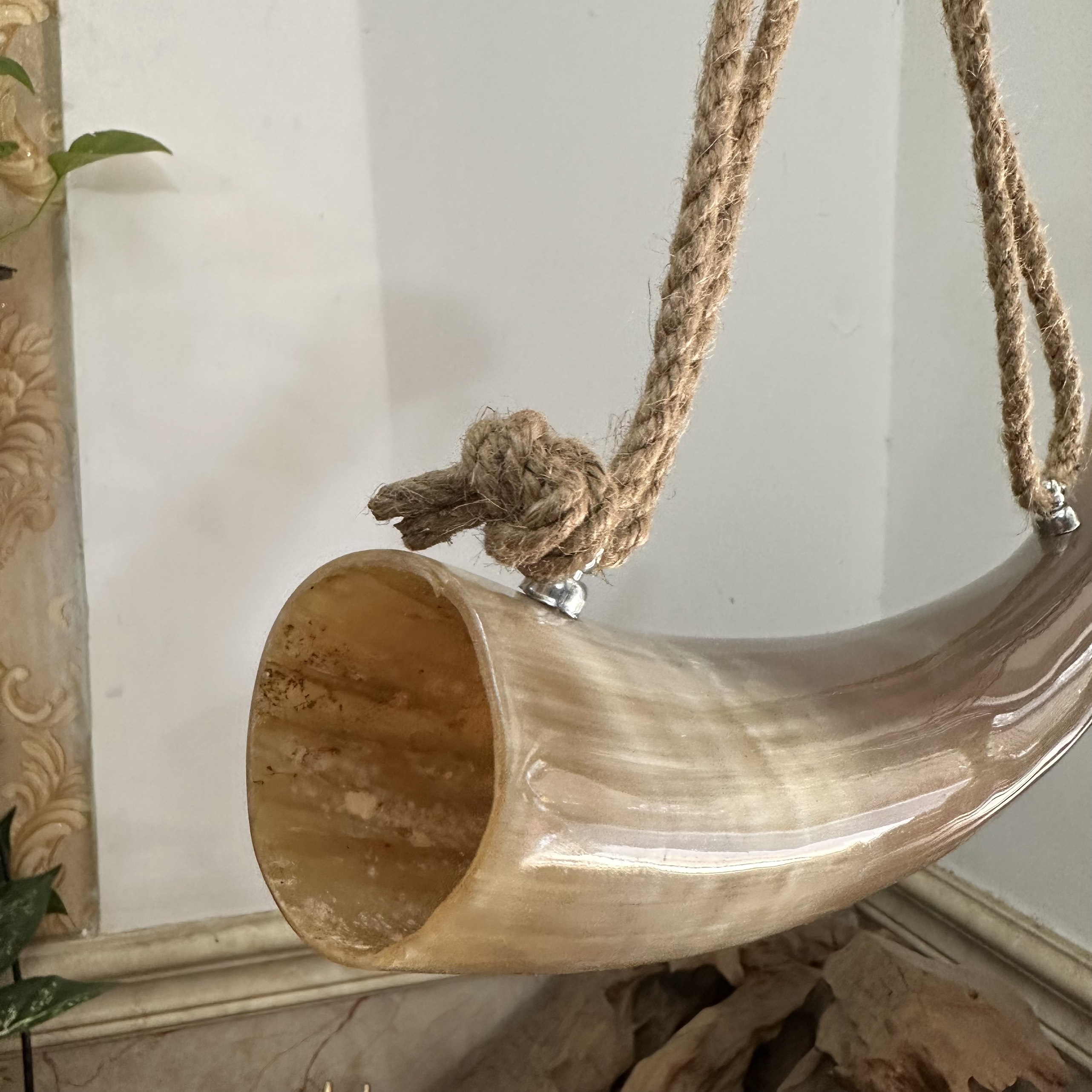 Kèn tù và sừng bò tự nhiên - Lưỡi gà bằng đồng cho âm thanh to vang xa - Màu sắc sừng tự nhiên