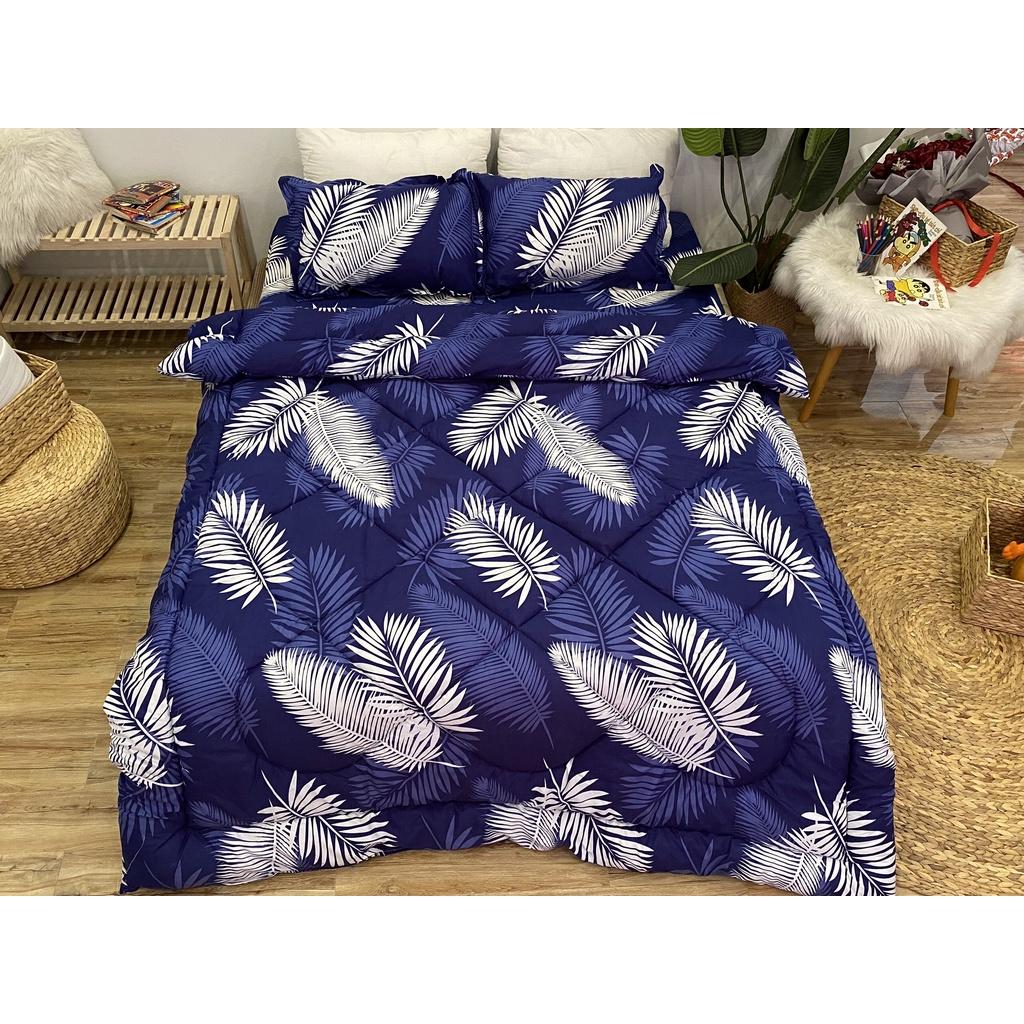 Set phao 5 món siêu rẻ